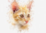 create stunning realistic digital paintings from your photos